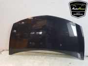 Motorhaube Renault Clio III BR0/1, CR0/1 7751476113