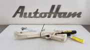 Dachairbag Links 505163350 Alfa Romeo 159 Sportwagon (939BX) Kombi 1.8 TBi 16V (939.B.1000) 2010-02