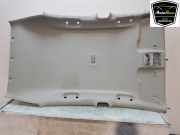 Verkleidung Himmel 95330414 Opel Mokka/Mokka X SUV 1.4 Turbo 16V 4x2 (B14NET(Euro 6)) 2015-06