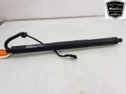 Heckklappenmotor 51247294469 BMW X5 (F15) SUV xDrive 35d 3.0 24V (N57-D30A) 2014-01