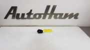 Start/stop Schalter 61319250734 BMW 3 serie Touring (F31) Kombi 320d 2.0 16V (B47-D20A) 2013-05
