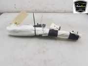 Dachairbag Rechts 103675900F Tesla Model X SUV 75D (A0003K8775D) 2018-12