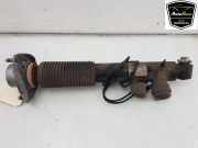 Stoßdämpfer Rechts Hinten 37106875088 BMW X5 (F15) SUV xDrive 40d 3.0 24V (N57-D30B) 2015-03