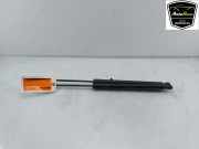 Gasdruckfedern Set Hinten 5G6827550C Volkswagen Golf VII (AUA) Schrägheck 1.6 TDI BlueMotion 16V (CXXB) 2016 CXXB