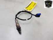 Lambdasonde LX619G444BB Ford Kuga III (DFK) SUV 2.5 PHEV 16V (BGDA) 2022-01