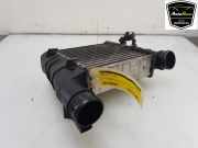 Ladeluftkühler 8E0145805AA Audi A4 Avant (B7) Kombi 2.0 TFSI 20V Quattro (BPG) 2008-03