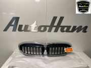 Grill 5113192976 BMW 3 serie (G20) Limousine 316d 2.0 TwinPower Turbo 16V Hybrid Drive (B47-D20B) 2021