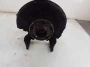 Achsschenkel Links Vorne 6Q0407255AC Volkswagen Polo IV (9N1/2/3) Schrägheck 1.2 12V (BME) 2007-01 BME