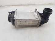 Ladeluftkühler 05C145785C Volkswagen Polo VI (AW1) Schrägheck 5-drs 1.0 TSI 12V (DLAA) 2021-01 DLAA