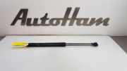 Gasdruckfedern Set Hinten 8A61A406A10AC Ford Fiesta 6 (JA8) Schrägheck 1.0 EcoBoost 12V 100 (SFJA) 2016