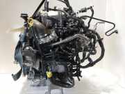 Motor 04L100039C Volkswagen Transporter T6 Van 2.0 TDI 150 (DNAA) 2024-05 DNAA
