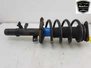 Sto?d?mpfer Links Vorne DV6118K001LC Ford Transit Connect (PJ2) Van 1.6 TDCi 16V 95 (TZGB(Euro 5)) 2015-11