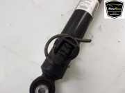 Stoßdämpfer Rechts Hinten 5Q0512009BF Skoda Octavia Kombi (5EAC) Kombi 5-drs 2.0 TSI RS 245 16V (DKTB) 2019-01