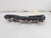 Dachairbag Links 2071592 Ford Fiesta 6 (JA8) Schrägheck 1.0 EcoBoost 12V Sport (YYJB) 2015-02