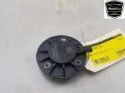 Zentral Magnet Nockenwellenverstellung 06Q109259B Cupra Formentor SUV 2.0 TSI 16V 4Drive (DNFB) 2021 DNFB