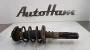 Stoßdämpfer Links Vorne 8J0413031AA Audi TT (8J3) Coupé 2.0 TFSI 16V Quattro (CCZA) 2009-03