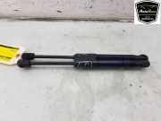 Gasdruckfeder Set Vorne 5123739749305 BMW X3M (F97) SUV 3.0 TwinPower Turbo 24V Competition (S58-B30A) 2020-03