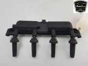 Zündspule 597097 Peugeot 206+ (2L/M) Schrägheck 1.4 XS (TU3A(KFV)) 2010-05