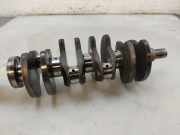 Kurbelwelle 71779133 Fiat Punto Evo (199) Schr?gheck 1.3 JTD Multijet 85 16V (199.B.4000(Euro 5)) 2011-11