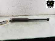 Stoßdämpfer Links Hinten H1BC18080AD Ford Fiesta 7 Schrägheck 1.0 EcoBoost 12V 100 (SFJN) 2019