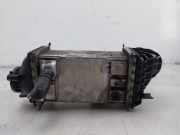 Ladeluftkühler 05C145785C Volkswagen Golf VIII (CD1) Schrägheck 1.0 TSI 12V (DLAA) 2021-03 DLAA