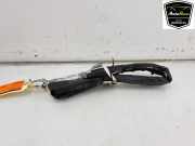 Dachairbag Rechts 00517823800 Fiat 500 (312) Schrägheck 1.2 (169.A.4000(Euro 5)) 2008-08