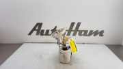 Kraftstoffpumpe Elektrisch 16117243972 BMW 3 serie Touring (F31) Kombi 320d 2.0 16V EfficientDynamicsEdition (N47-D20C) 2014