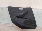 Türverkleidung Links Hinten 2G6867209C82V Volkswagen Polo VI (AW1) Schrägheck 5-drs 1.0 TSI 12V (DLAC) 2021-04 DLAC