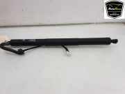 Heckklappenmotor 51247294470 BMW X5 (F15) SUV xDrive 35d 3.0 24V (N57-D30A) 2014-01