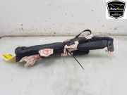 Dachairbag Links 51796551 Fiat Punto III (199) Schrägheck 1.3 JTD Multijet 80 16V (199.B.8000) 2015-12