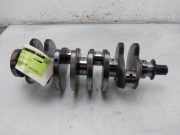 Kurbelwelle 71779133 Fiat Fiorino (225) Van 1.3 JTD 16V Multijet (199.A.9000(Euro 5)) 2009-01