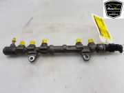 Einspritzdüsen Düsenstock 55232355 Peugeot Bipper (AA) Van 1.3 HDI (F13DTE5(FHZ)) 2012