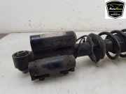 Stoßdämpfer Rechts Hinten 6878104 BMW 8 serie (G14) Cabrio M850i xDrive Twin Turbo V8 32V (N63-B44D) 2019-06