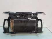 Kühlerträger 51700202 Fiat Panda (169) Schrägheck 1.2, Classic (169.A.4000(Euro 5)) 2010-07