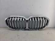 Grill 51137450959 BMW 1 serie (F40) Schrägheck 118i 1.5 TwinPower 12V (A0001E1I118i 1.5 TwinPower 12V) 2020-04
