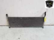 Radiator 104849800C Tesla Model X SUV 75D (A0003K8775D) 2018-03