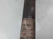 Stoßdämpfer Rechts Hinten 5WA512013AJ Volkswagen Golf VIII (CD1) Schrägheck 1.5 TSI BlueMotion 16V (DPBA) 2020 DPBA