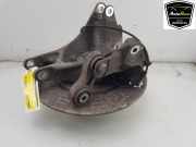 Achsschenkel Links Hinten 102741100D Tesla Model X SUV 75D (A0003K8775D) 2018-03