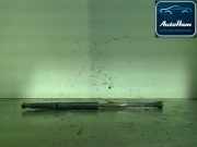 Gasdruckfedern Set Hinten Fiat Grande Punto (199) Schrägheck 1.3 JTD Multijet 16V (199.B.2000) 2009