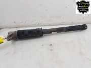 Stoßdämpfer Rechts Hinten 104446101E Tesla Model 3 Limousine Long Range AWD 75 kWh (3D7) 2019-09