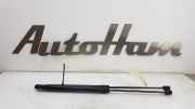 Gasdruckfedern Set Hinten 8A61A406A10AC Ford Fiesta 6 (JA8) Schrägheck 1.0 SCI 12V 80 (P4JA) 2013-02