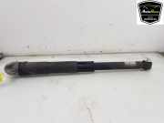 Stoßdämpfer Rechts Hinten 5Q0513049DE Volkswagen Golf VIII (CD1) Schrägheck 1.5 TSI BlueMotion 16V (DPBA) 2022-02 DPBA