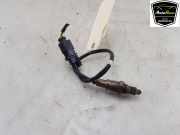 Lambdasonde 8W0906265AP Audi A4 Avant (B9) Kombi 2.0 40 TFSI Mild hybrid 16V (DMSA) 2020-11