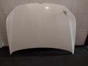 Motorhaube 6R0823031G Volkswagen Polo V (6R) Schrägheck 1.2 TDI 12V BlueMotion (CFWA) 2011-11 CFWA