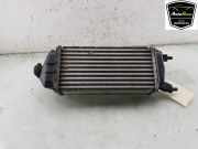 Ladeluftkühler 2163154 Ford Fiesta 7 Schrägheck 1.0 EcoBoost 12V 100 (SFJN) 2019