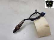 Lambdasonde LX619Y460GA Ford Kuga III (DFK) SUV 2.5 PHEV 16V (BGDA) 2022-01
