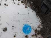 Kraftstoffpumpe Elektrisch 1510078P00 Suzuki Swift (ZA/ZC/ZD) Schrägheck 1.2 16_ (K12B) 2016-12