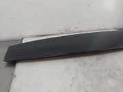 Zierleiste 112500900B Tesla Model X SUV 75D (A0003K8775D) 2018-12