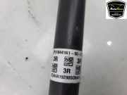 Antriebswelle Rechts Hinten ABS 104416100D Tesla Model 3 Limousine Long Range AWD 75 kWh (3D7) 2019-12