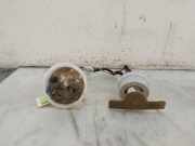 Kraftstoffpumpe Elektrisch 16117434206 BMW 5 serie Touring (F11) Kombi 523i 24V (N53-B30A) 2011-02